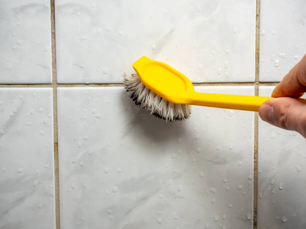 Best Mold Testing  in Westfield, MA