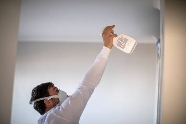 Best Residential Mold Removal  in Westfield, MA
