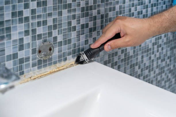 Best Mold Removal Near Me  in Westfield, MA
